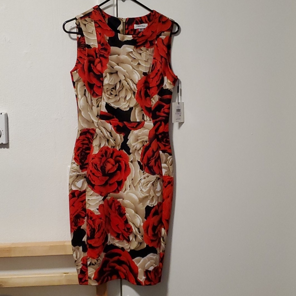 Calvin Klein Dress